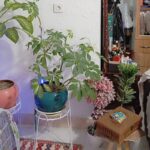فروش کلی وسایل منزل
