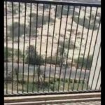 فروش واحد 56 متری در شهرک صدف