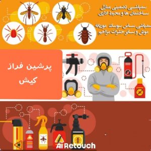 سمپاشی با گارانتی معتبر۱ساله